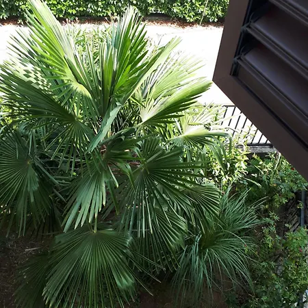 Lejlighed Marija Rijeka